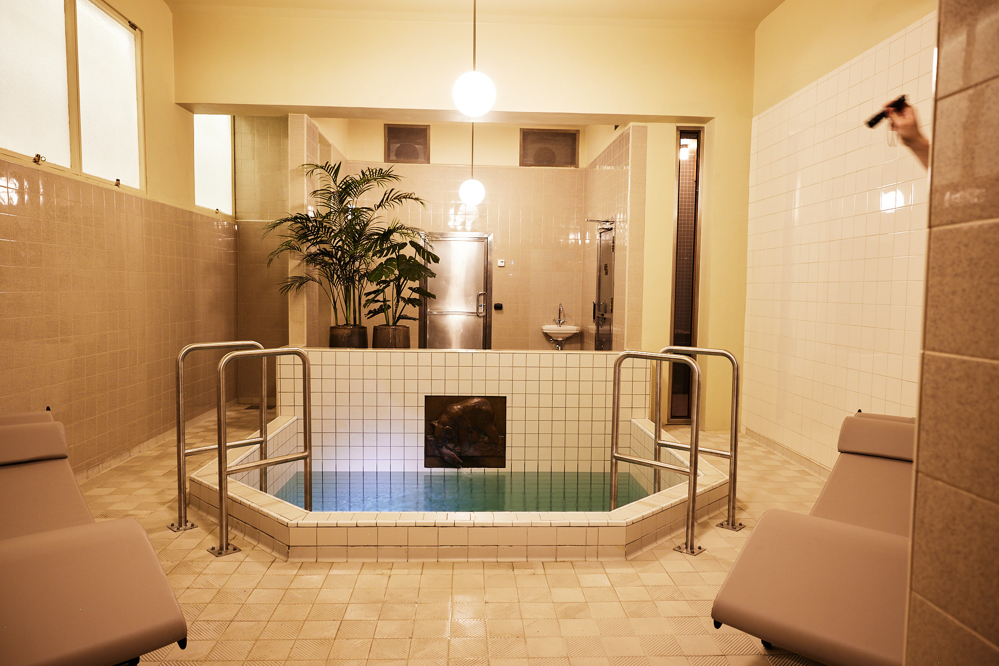Cold plunge pool infrared sauna